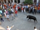 Vaca das Cordas volta a animar Ponte de Lima com celebrações tradicionais e polémicas em 2025