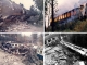 40 anos do “11 de Setembro português”: Mangualde homenageia vítimas da maior tragédia ferroviária nacional