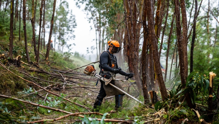 Fim do prazo para limpeza de terrenos: GNR inicia fiscalização na próxima segunda-feira