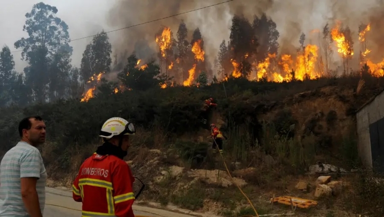 Portugal em Alerta: Incêndios em Arouca, Ponte da Barca e Nisa Mobilizam Milhares de Operacionais