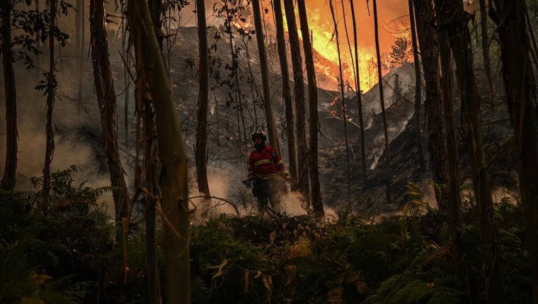 Incêndios: Fogo em Terras do Bouro está a cerca de 200 metros de habitações - Presidente da Câmara