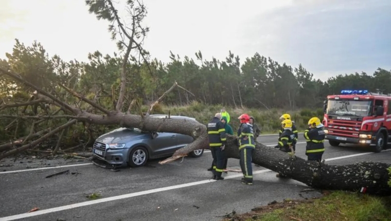 Mau tempo: Presidente da Câmara de Figueiró dos Vinhos pede socorro