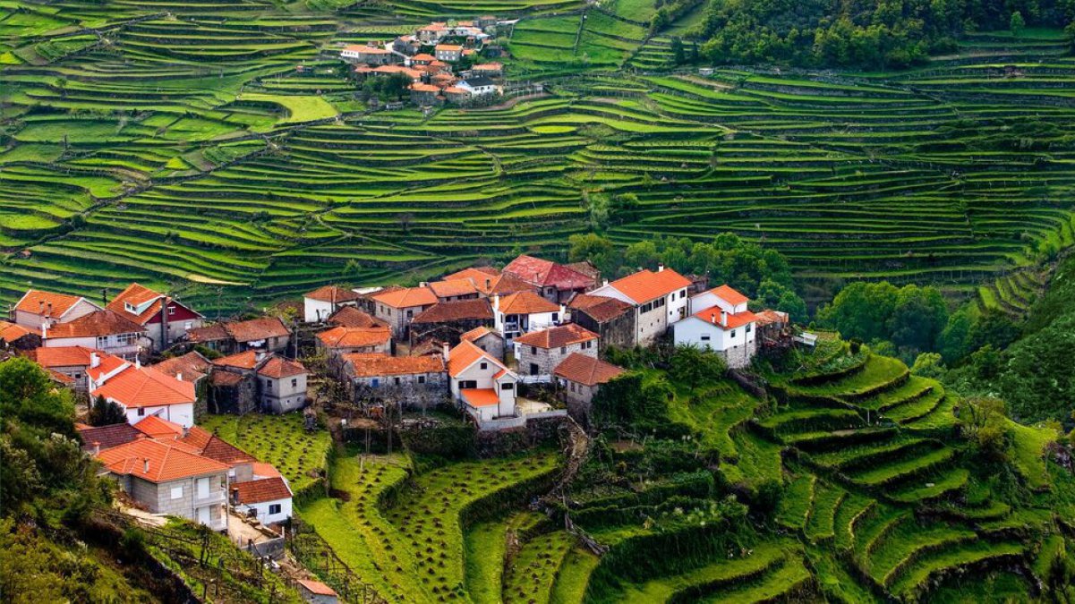Vista aérea da aldeia de Sistelo, com casas de telhados vermelhos rodeadas por socalcos verdes em uma paisagem montanhosa.
