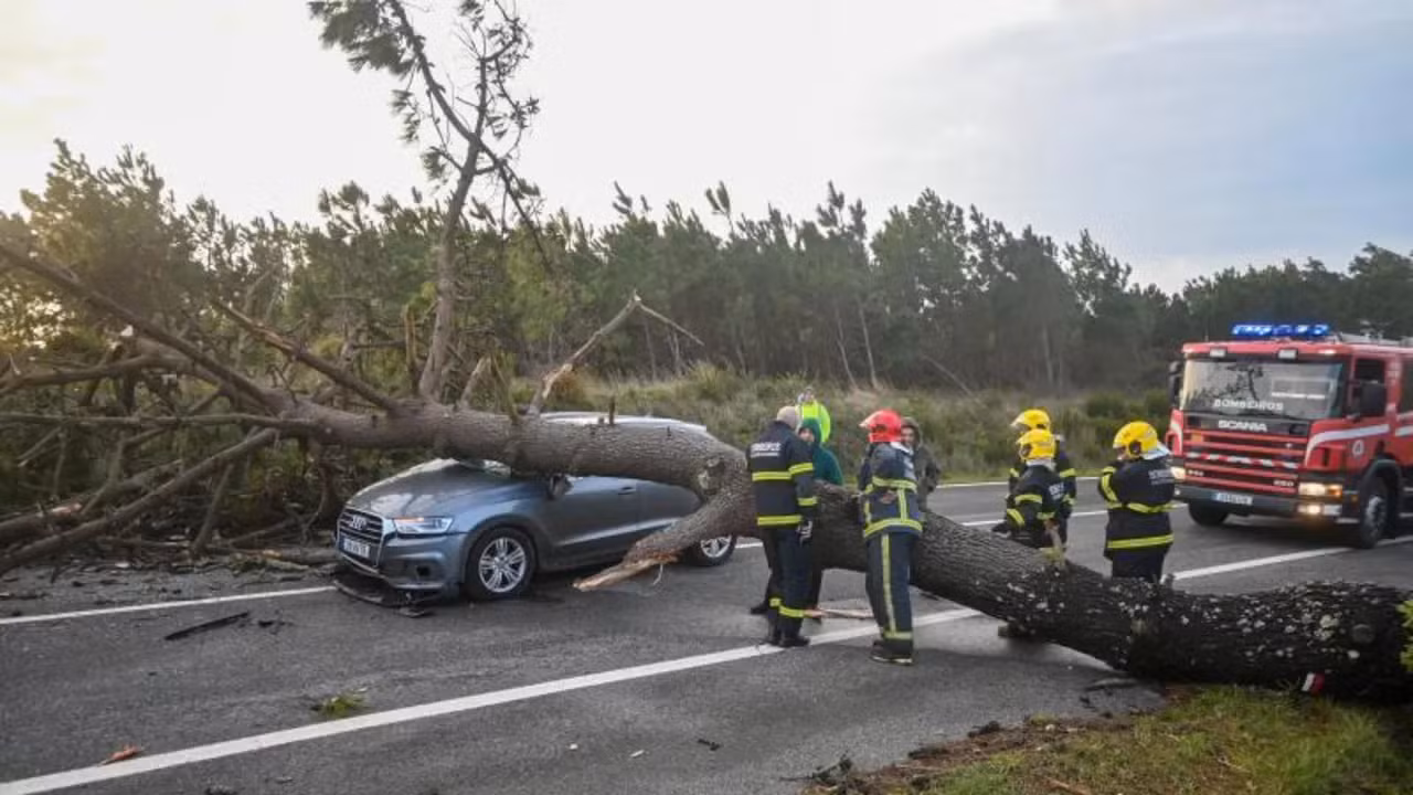 Bombeiros junto a um carro esmagado por uma árvore caída numa estrada, com um veículo de emergência ao fundo, ilustrando os estragos causados pelo mau tempo em Figueiró dos Vinhos.